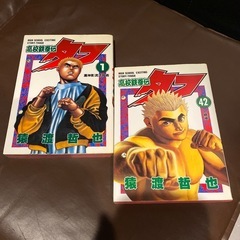 高校鉄拳伝タフ　全42巻セット TOUGHタフ　全39巻セット 龍を継ぐ男　全35巻セット 番外編　柔の章 GOKUSAI  全4巻セット Runin 全2巻セット OTON 全2巻セット 傷だらけの仁清　全15巻セット  猿渡哲也　140冊セット の画像