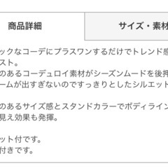 コーデュロイダウンベストの画像