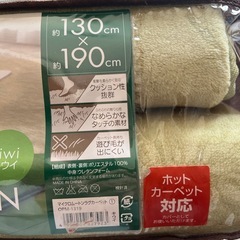 マイクロムートンラグカーペットの画像