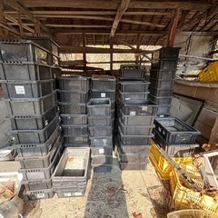 メダカ容器NVボックス22.13などの画像