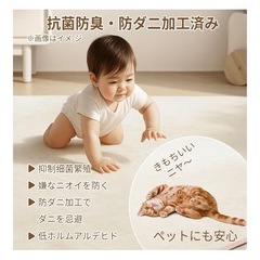 ラグ カーペット 約1畳 滑り止め付き ラグ 洗える おしゃれ 北欧の画像