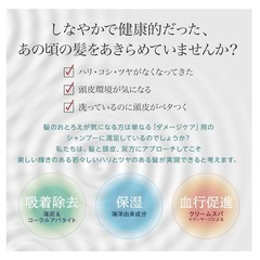 ALG 海泥シャンプーの画像