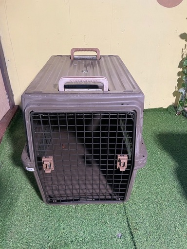 大型犬用　バリケン
