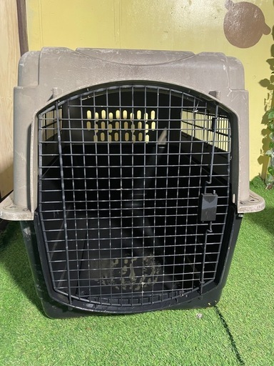 　大型　犬用　バリケン　2つまとめて