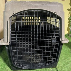 　大型　犬用　バリケン　2つの画像