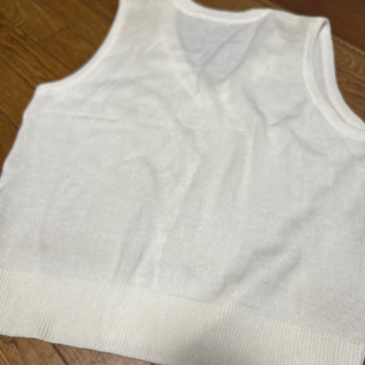 錦城高校　夏ベスト　男性制服