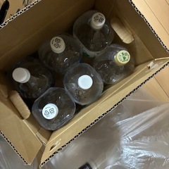 水汲み用のボトル まとめ売り の画像