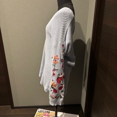 アメリカンイーグル  ニットの画像