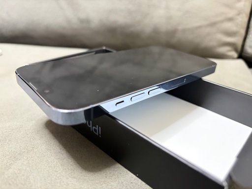 iPhone 13Pro 512GB