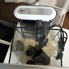 熱帯魚小型水槽セットの画像