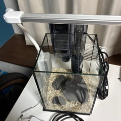熱帯魚小型水槽セットの画像