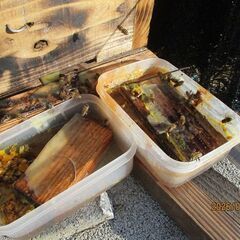 日本蜜蜂巣箱・大巣箱,4段式（ハチミツ沢山溜まります）【置くだけの巣箱】後ろ開き戸付き 無料・蜜蝋塗り有りの画像