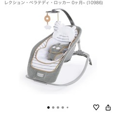 電動バウンサーの画像