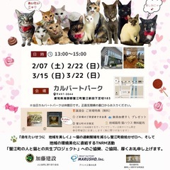 保護猫譲渡会での出店のお知らせ