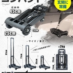 【所ジョージの世田谷ベース掲載】 キャリーカート 折りたたみ 『キャンプインストラクター監修』 コンパクト 軽量 小さい アウトドア 4輪 台車 （※オリジナル荷締めゴム付き）L.Y.F LAB… (BLACK)の画像