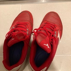 ミズノ　　野球シューズの画像