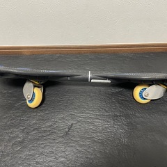 RIPSTIK DLXの画像