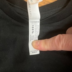 【サイズ9５】子供Tシャツの画像