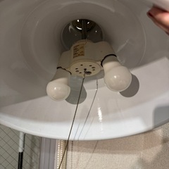 【電球付き・動作確認済】深緑色・ホーロー製ペンダントライトの画像