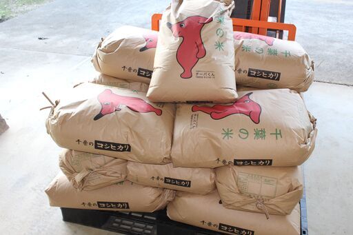 令和7年度産 低農薬で育てた 新米 30Kg コシヒカリ100％ お米 玄米、精米どちらも可能 配達も可能です！