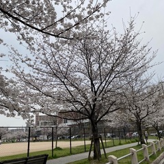 博多区住みの方ウォーキングしませんか