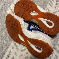 体育館シューズ　24センチの画像