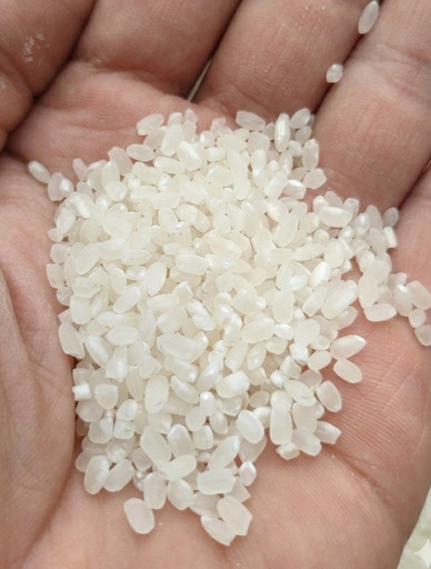 農薬不使用の令和７年産『にじのきらめき』玄米 10kg｜東毛地区近辺で受け渡し可｜年間契約農家の安全安心米
