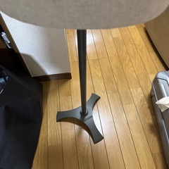 メンズボディの画像