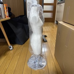 二分の一BUNKAボディの画像