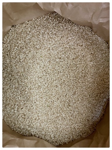 お米　ヒノヒカリ 30Kg 玄米 令和7年産