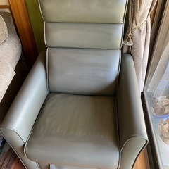 日本メディカルサイエンス　高電位治療器　２脚仕様の画像