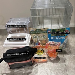 【ひなから飼える！インコ飼育セット】の画像