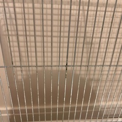 【ひなから飼える！インコ飼育セット】の画像