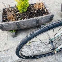 ビアンキ　ロマ　２　クロスバイク　７００ｘ２８ｃ　2x8変速　フレーム　アルミ　青　配達可能の画像