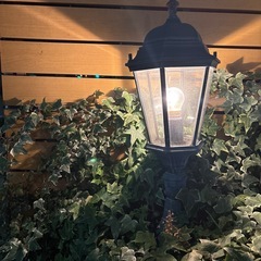 楽しい事ないかなぁ〜♪