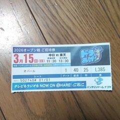 中日　ドラゴンズ　オープン戦　チケット　バンテリンドームの画像