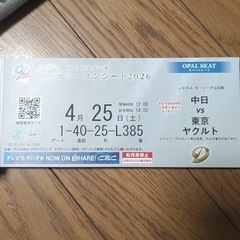 中日　ドラゴンズ　チケット　バンテリンドーム
の画像