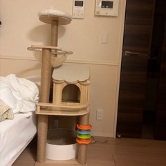 キャットタワー
の画像