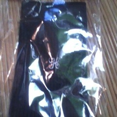 山口県私立早鞆高校女子学校指定ハイ ソックスの画像