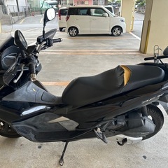 PCX81の画像
