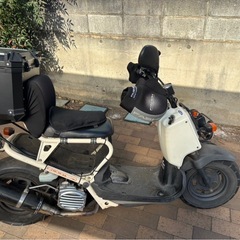 ズーマー　自走引き取り可の画像