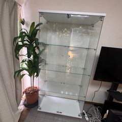 鍵付き🗝️大型4面ガラスショーケース　４層ワイドタイプのコレクションケースの画像