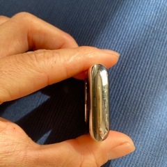 アップルウォッチ　シリーズ7 45mm セルラー　ステンレスモデルの画像