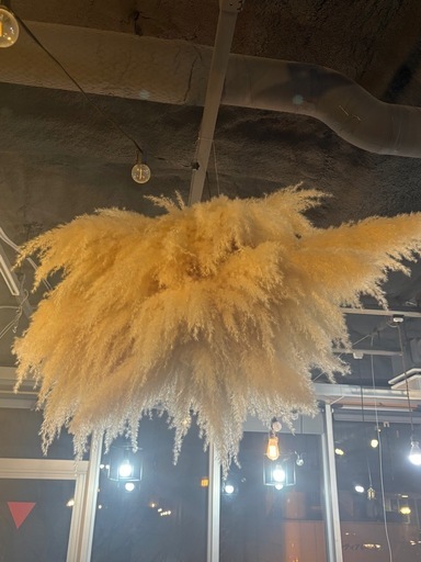 大型パンパスグラス吊り装飾 約90cm 店舗ディスプレイ向き