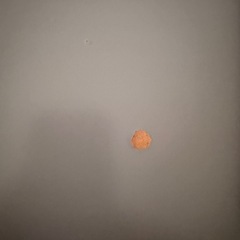 【140×80cm】電動昇降デスク（グレー天板×ホワイト脚）動作確認済みの画像