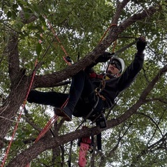 未経験歓迎！庭木の剪定・伐採・草刈りスタッフ｜自然の中で体を動かす仕事の画像