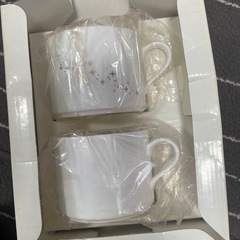 4℃のマグカップ
の画像