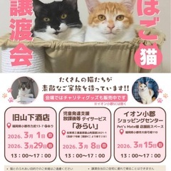 3月15日（日）💖イオン小郡ほご猫譲渡会に20匹前後の猫ちゃんと一緒に参加します🐈 - 猫