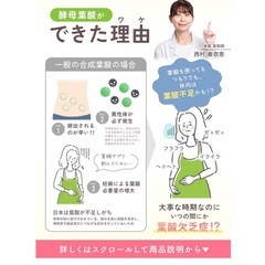 BELTA ベルタ 葉酸サプリ 葉酸480μg 妊活 妊娠 マタニティ 鉄 ビタミン 60粒 30日分の画像