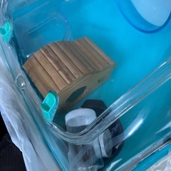 ハムスター飼育セットの画像